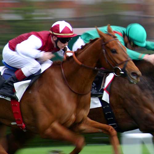 Complete Equine Staffing Solutions horseracing link